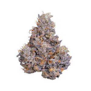 FIG FARMS - Figment x Zeclair #1 - 3.5g (H) - Fig Farms