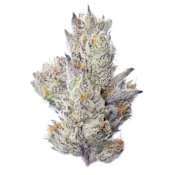 Fig Farms | Guavascotti | 3.5g