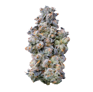 FIG FARMS - Italian Ice - 3.5g (H) - Fig Farms
