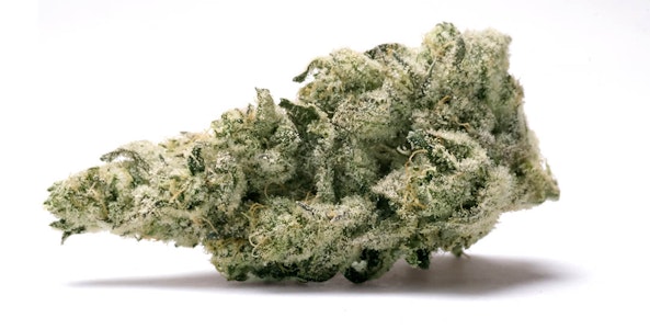 DUFFY$ -  Duffy$ | Holy Moly! | Smalls | 3.5g