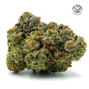 FIG FARMS - Chikitaz - 3.5g (H) - Fig Farms