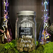 Baby Joker| Indica
