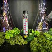 Glitter Bomb (2G) | Preroll 2pk | Hybrid