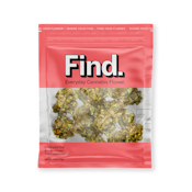 Find. | Gush Mints | 2.5OZ (70G)