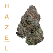 Fire OG - 3.5 - Hazel