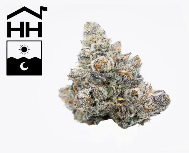 APPLE GUY FLOWERS - Fire As Fuck | 3.5g Premium Flower | TAX INCLD Main Image