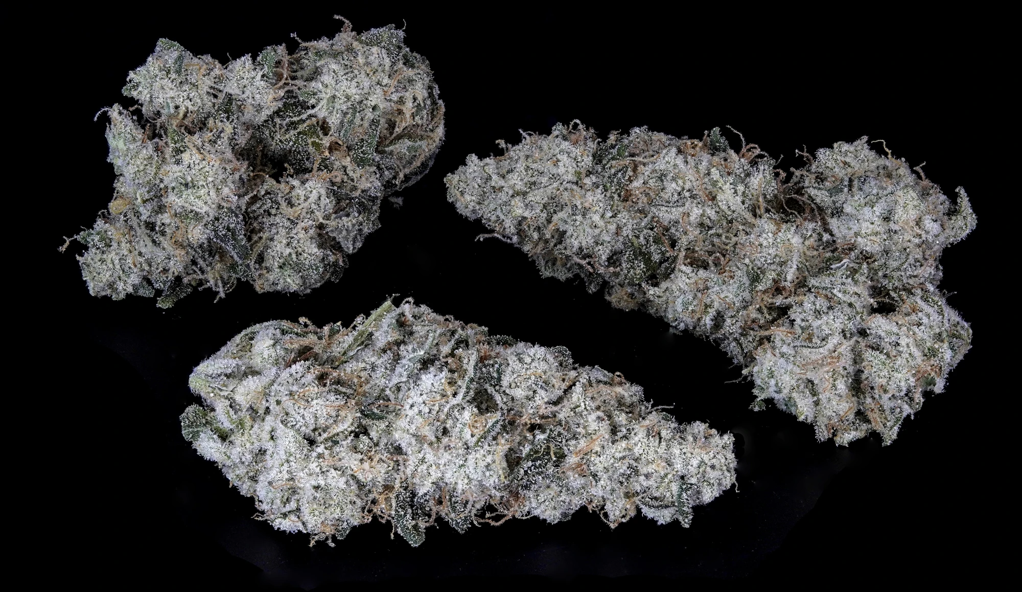 Chronicseur Farms - First Class Funk Buds Main Image