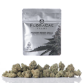 FloraCal | Purple Churro | Indoor Flower Smalls | 1/4oz