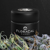 FloraCal | Premium Flower | Kush Mints | 3.5g