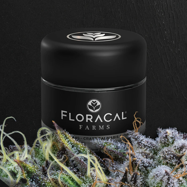 FloraCal - FloraCal | Premium Flower | Purple Plague | 3.5g Main Image