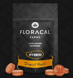 FloraCal - Tropical Punch Live Rosin Gummies 10pk - 100mg
