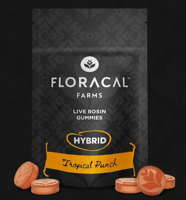 FloraCal - Tropical Punch Live Rosin 10pk Gummies - 100mg Main Image