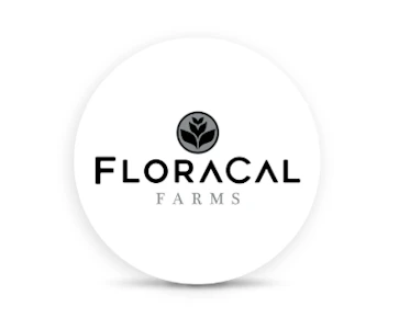 Floracal - Grapelatto | 1g | Pre Roll | Floracal