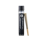 FloraCal | Permanent MarkerZ | Indoor Pre-Roll | 1g