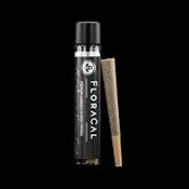 Floracal - Astro Pop (Indoor) - Preroll - 1G