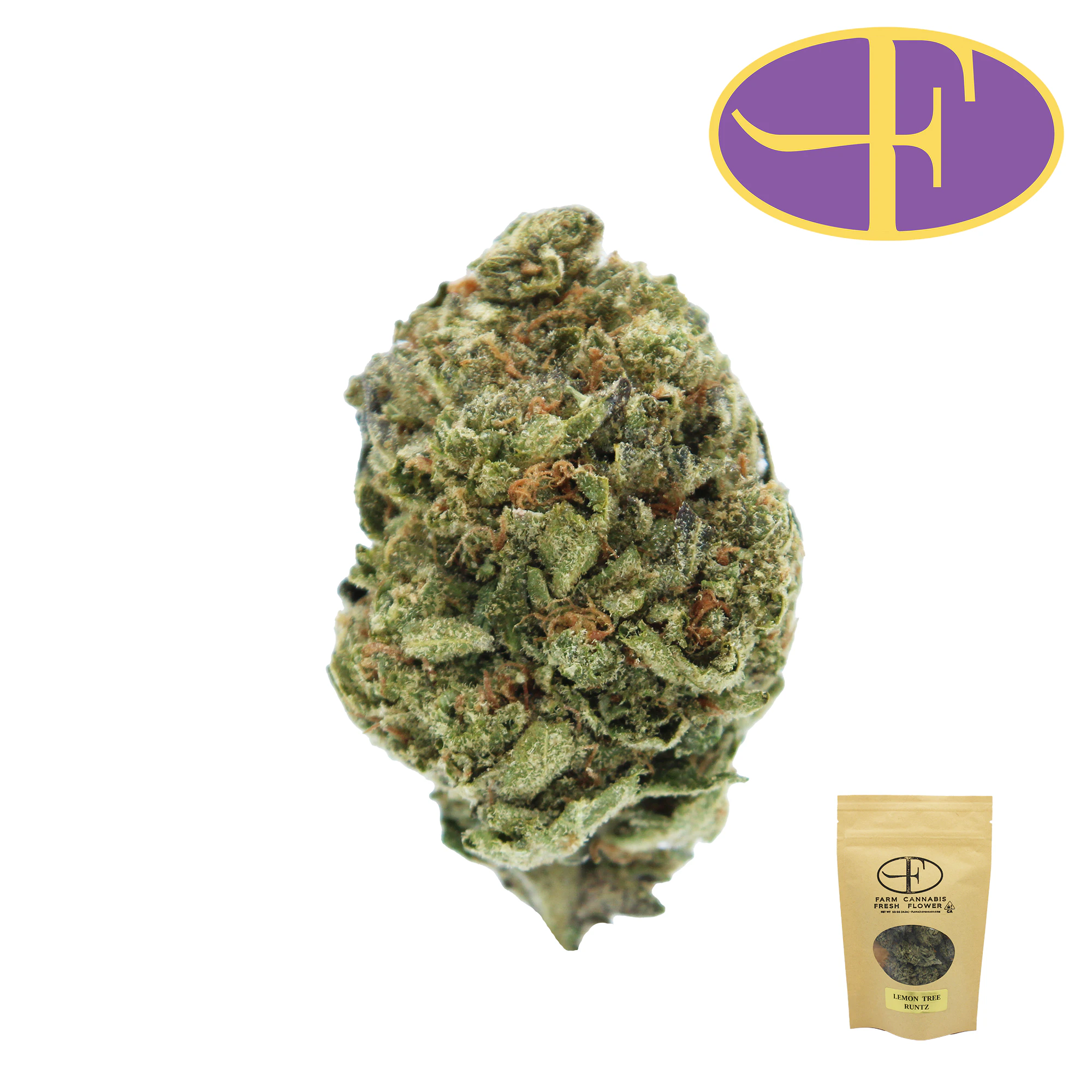Flore Dispensary - Lemon Tree Runtz (14g) Main Image