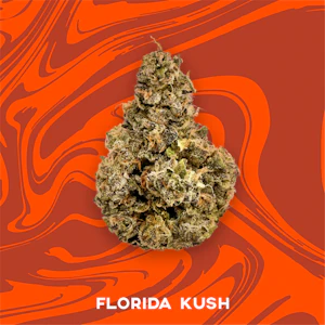 VIVID - VIVID - FLORIDA KUSH 3.5 GRAMS