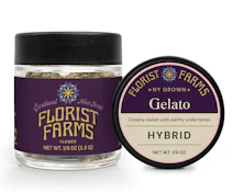 Florist Farms Gelato Flower 3.5g