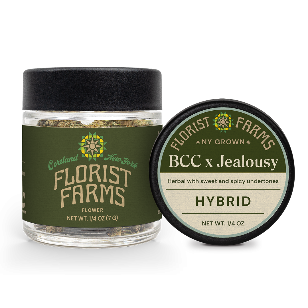BCC x Jealousy - 7g Flower
