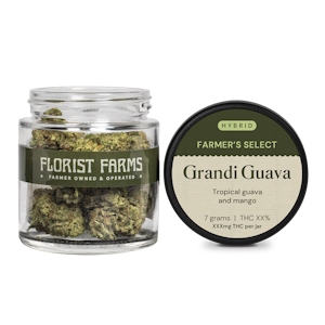 Florist Farms - Florist Farms - Grandi Guava - 7g - Flower