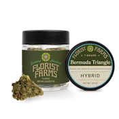 Bermuda Triangle | Flower | 7g | Florist Farms