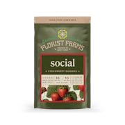 Social - Strawberry 2pk Gummies (10mg each) - Hybrid | Florist Farms