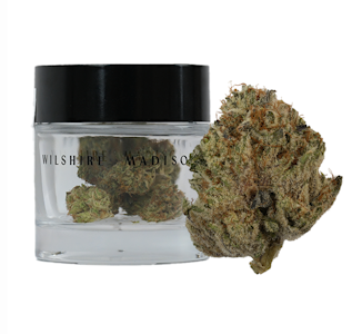 Wilshire Madison - Flower | Pistachio Ice Cream