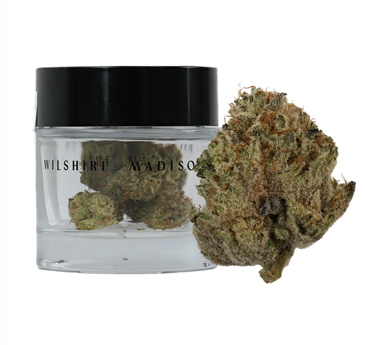 Wilshire Madison - Flower | Blackberry Kush Main Image