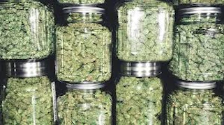 Juicy Farms Jagr - Packaged Oz