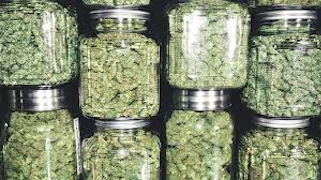 Special Branded Ghost OG - Packaged Oz