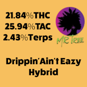 Mr.Tree | Drippin' Ain't Eazy
