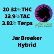 Mr.Tree | Jar Breaker