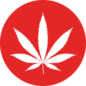 RIO VISTA FARMS - Madd Fruit 3.5g Jar - Rio Vista Farms