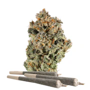 Packaged Pre-Roll-IX | Campfire | Sunset Sherbert | 1 g | 1 ct