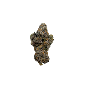 COLD FRAME FARMS - Platinum Gelati, Indoor