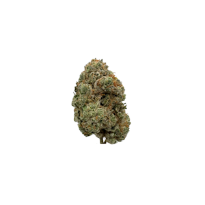 COLD FRAME FARMS - Jungle Driver, Indoor