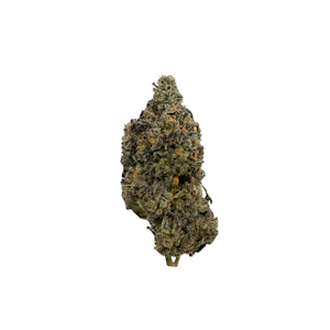 PACIFIC GROVE - Goofiez, Indoor