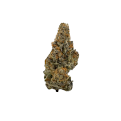 Black Diamonds, Indoor
