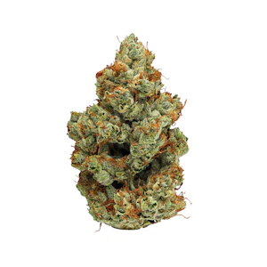 Florekulture - Sour Diesel, Indoor