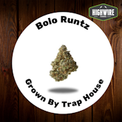 Bolo Runtz 1/8th