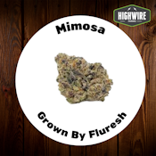 Mimosa 1/8th