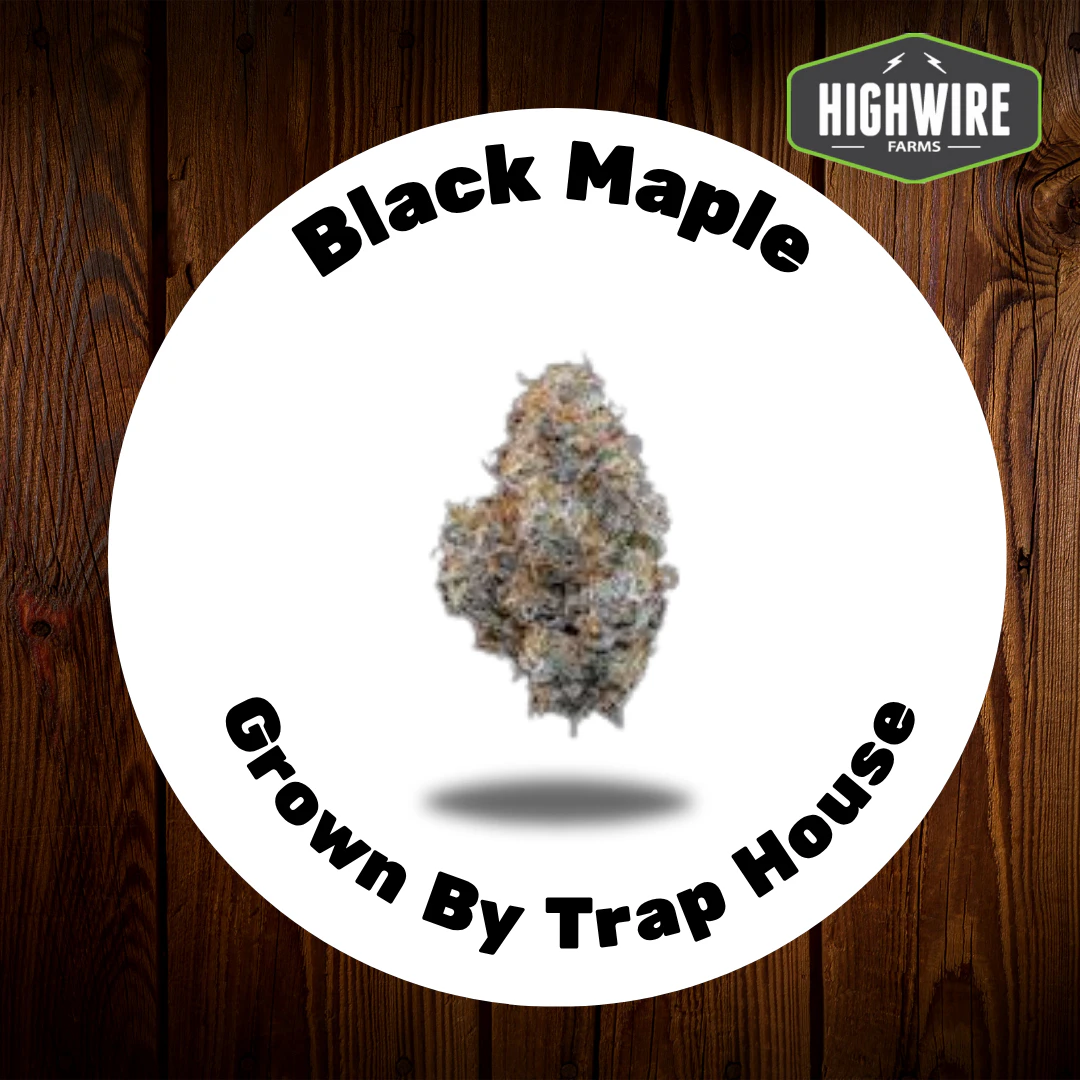 Trap House Company - Black Maple 1/8th Main Image