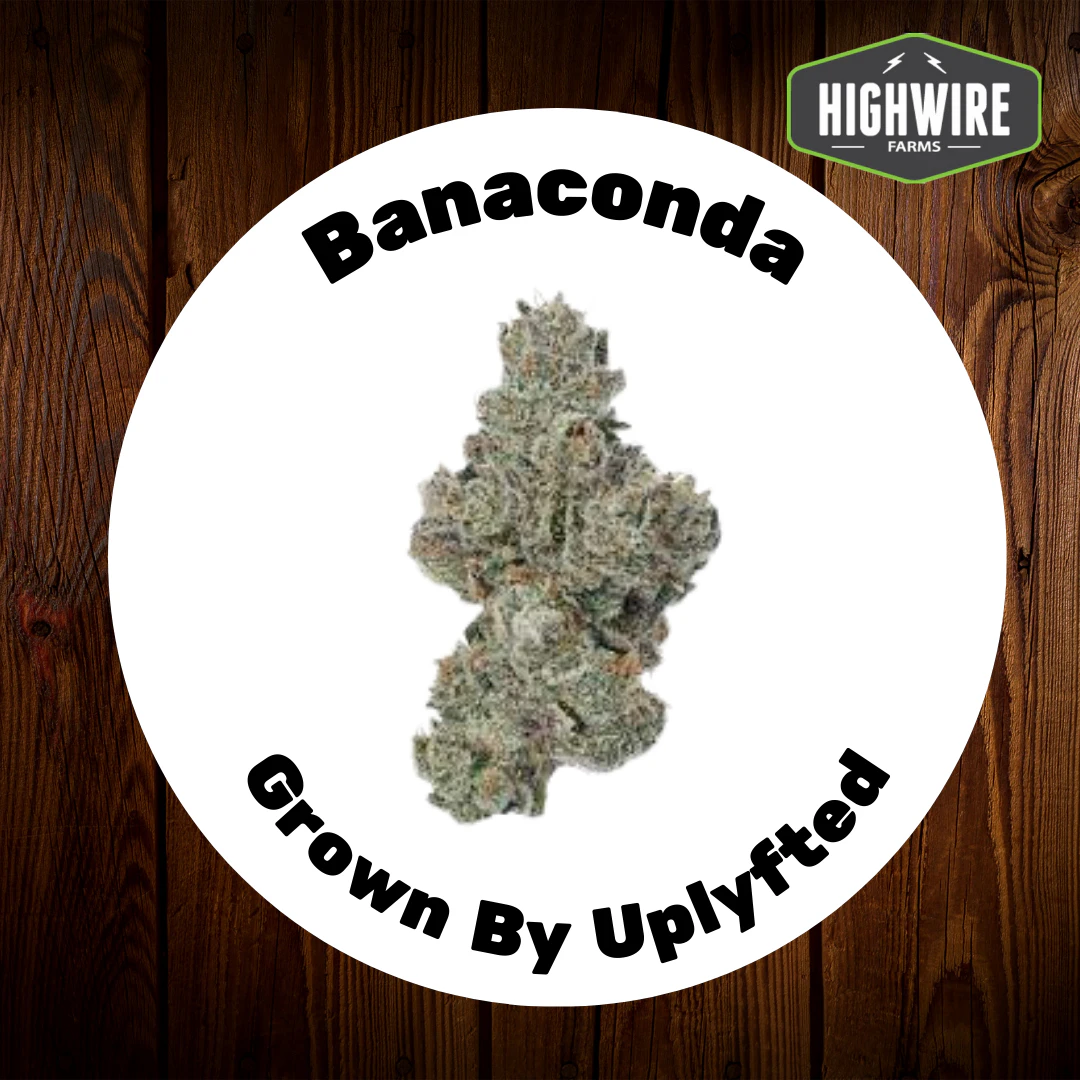 UPLYFTED CANNABIS - Banaconda OZ Main Image