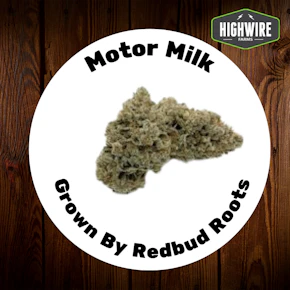 Motor Milk 1/8th