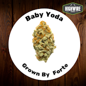 Baby Yoda 1/8th