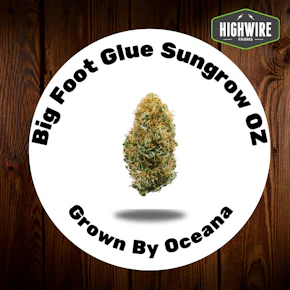 Bigfoot Glue OZ