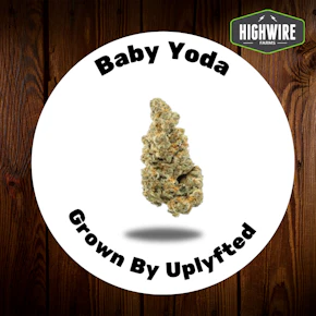 Baby Yoda 1/8th