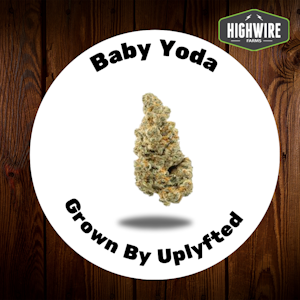 UPLYFTED CANNABIS - Baby Yoda 1/8th