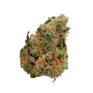 TERPMONGERS - Papaya Juice, B-buds, Indoor