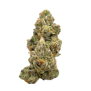 MIDNIGHT FRUIT COMPANY - Tahiti Twist, Indoor